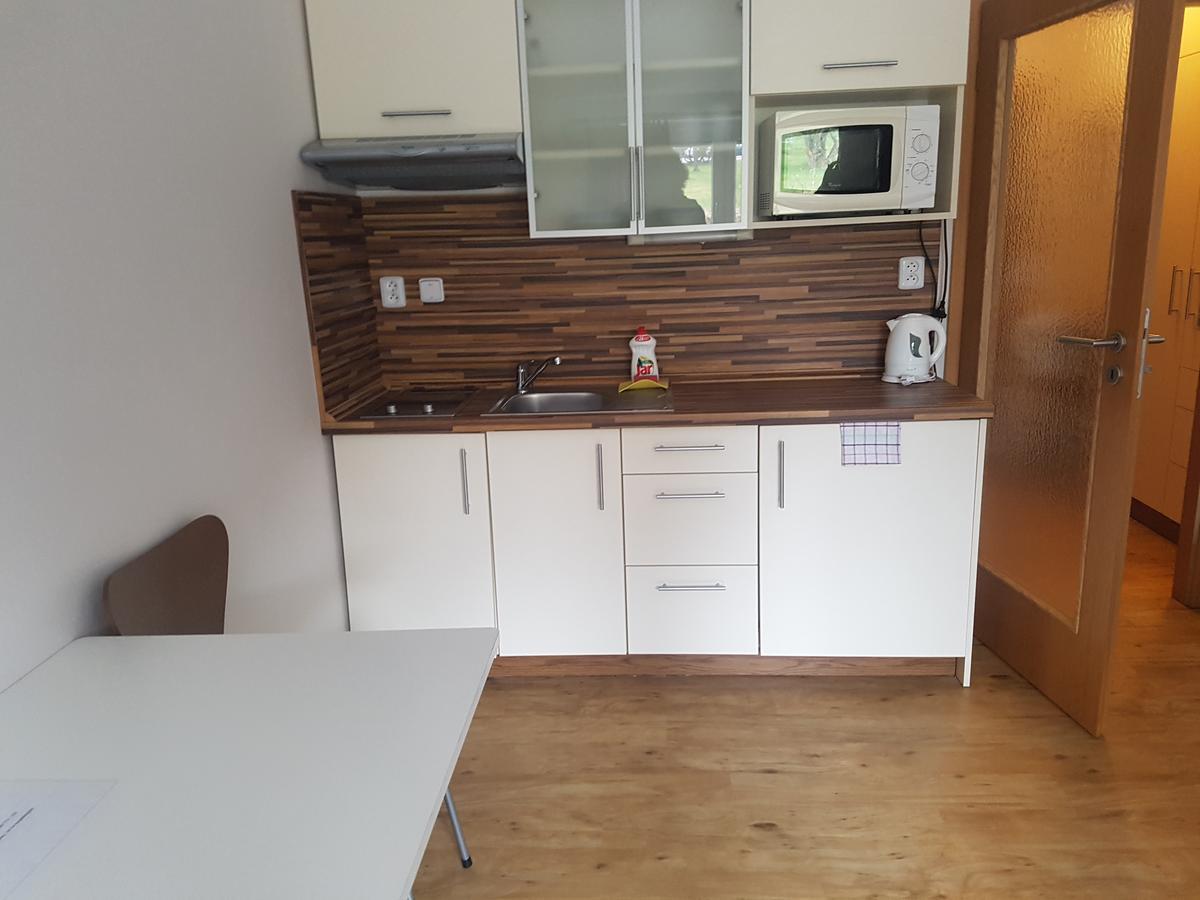 Apartman Richard Lipno nad Vltavou Exterior foto