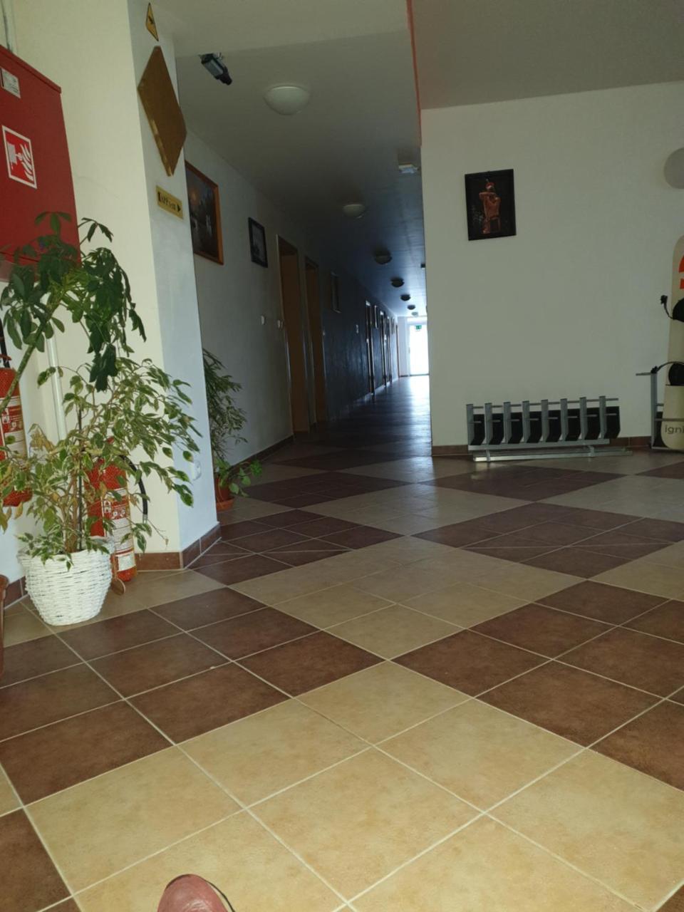 Apartman Richard Lipno nad Vltavou Exterior foto